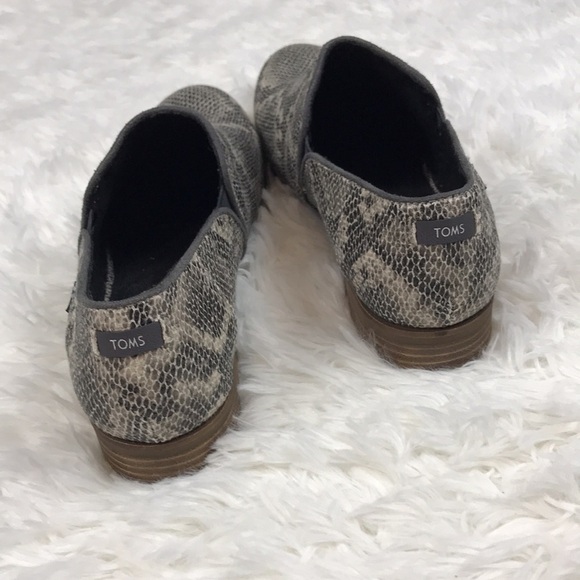 Toms Animal Print - Picture 6 of 10